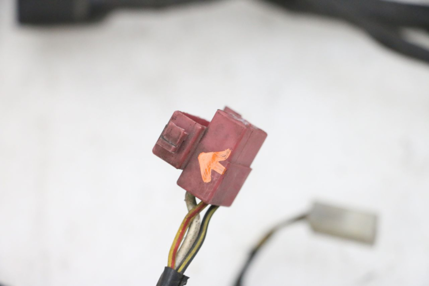 photo de FAISCEAU KAWASAKI GPX R WARBIRD 600 (1988 - 1993) - État de surface