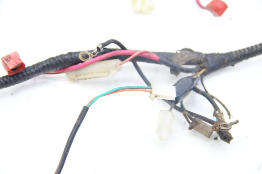 photo de FAISCEAU TNT MOTOR GRIDO 2T 50 (2010 - 2019)