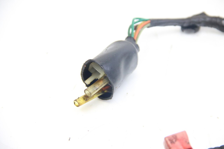 photo de FAISCEAU TNT MOTOR GRIDO 2T 50 (2010 - 2019)