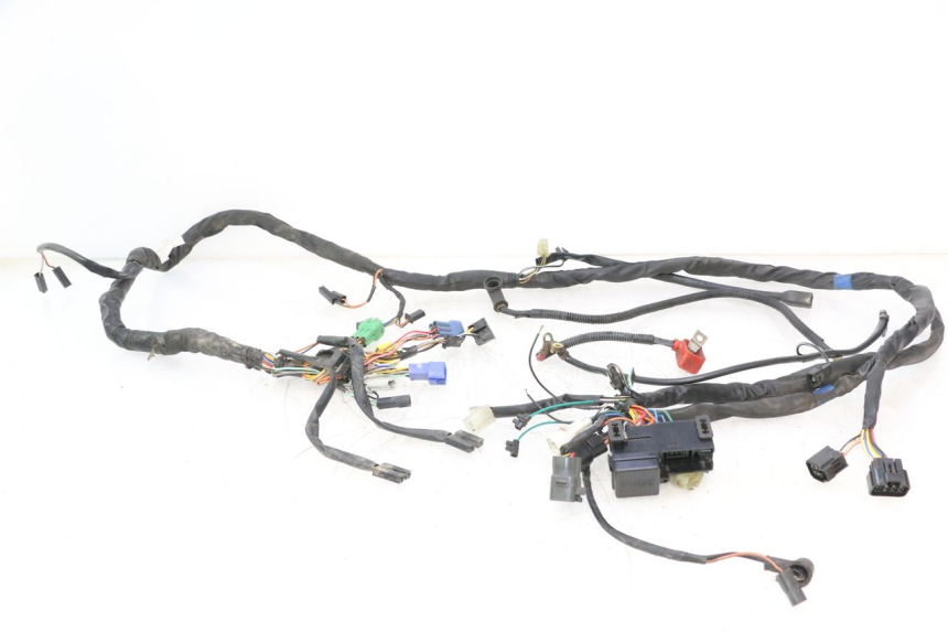 photo de FAISCEAU SUZUKI GSF N BANDIT 1200 (2001 - 2005) - Vue principale
