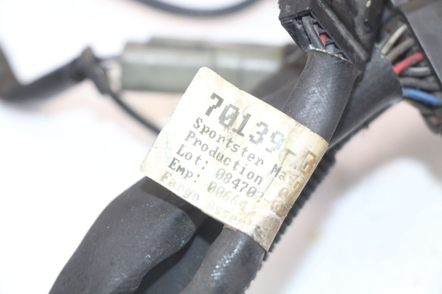 photo de FAISCEAU HARLEY DAVIDSON SPORTSTER XL CUSTOM 883 (1999 - 2006)