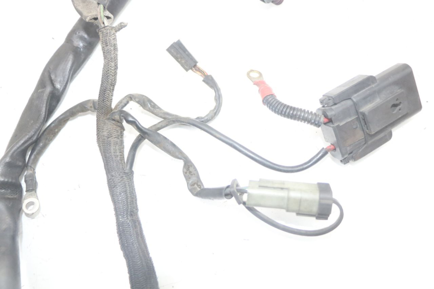 photo de FAISCEAU HARLEY DAVIDSON SPORTSTER XL CUSTOM 883 (1999 - 2006)