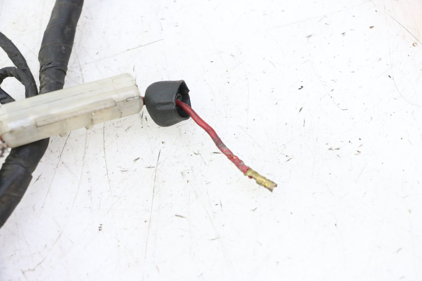 photo de FAISCEAU DAELIM HISTORY 125 (2001 - 2002)