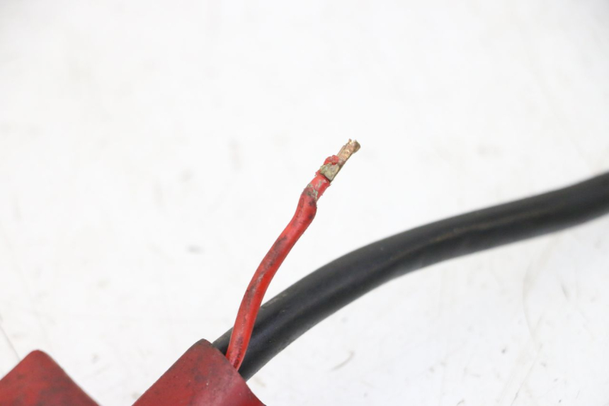 photo de FAISCEAU DAELIM HISTORY 125 (2001 - 2002)