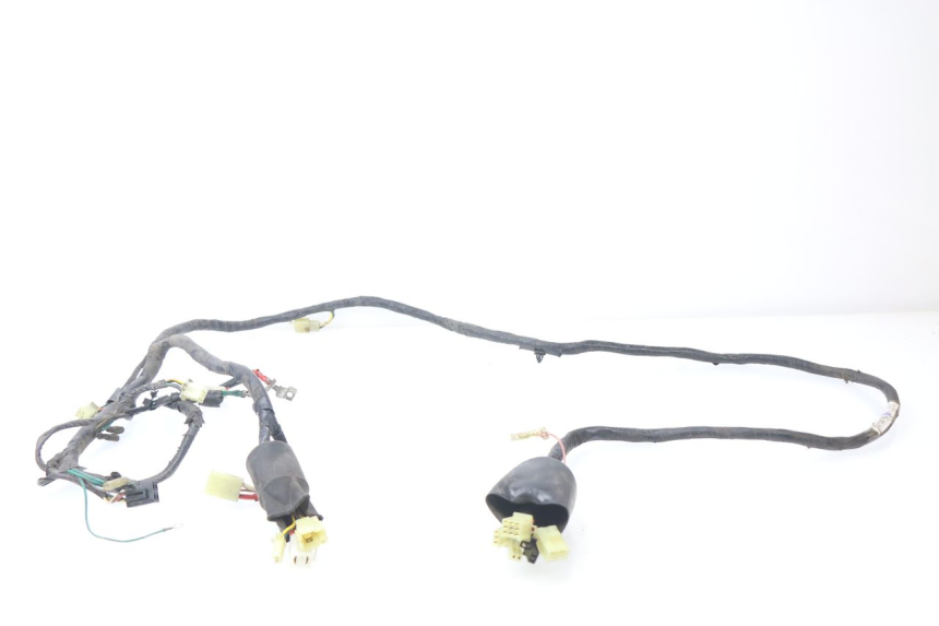 photo de FAISCEAU HONDA BALI EX 100 (1996 - 2000)