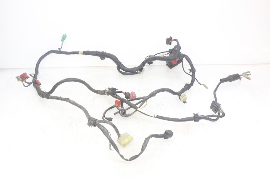 photo de FAISCEAU HONDA CBR F SC25 1000 (1989 - 1992)