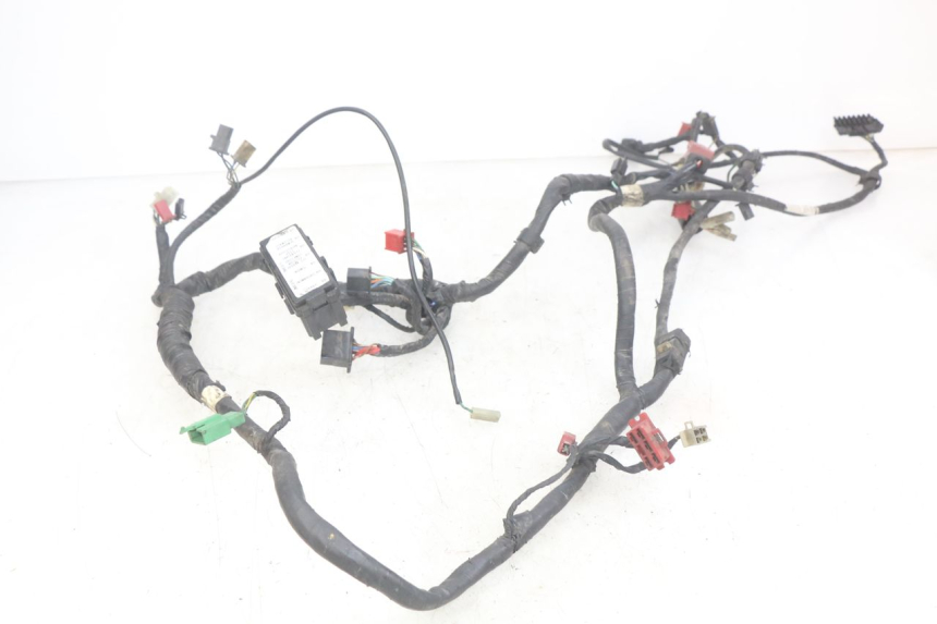 photo de FAISCEAU HONDA CBR F SC25 1000 (1989 - 1992)