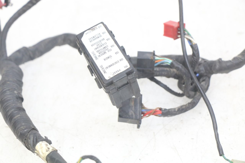 photo de FAISCEAU HONDA CBR F SC25 1000 (1989 - 1992)