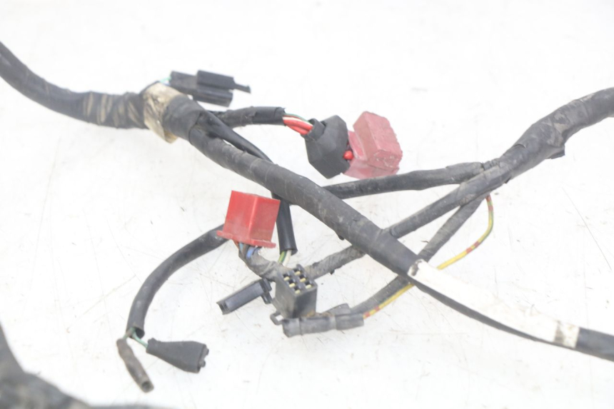 photo de FAISCEAU HONDA CBR F SC25 1000 (1989 - 1992)