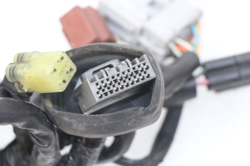 photo de FAISCEAU HONDA CBRF CBR-F PC41 600 (2011 - 2013)