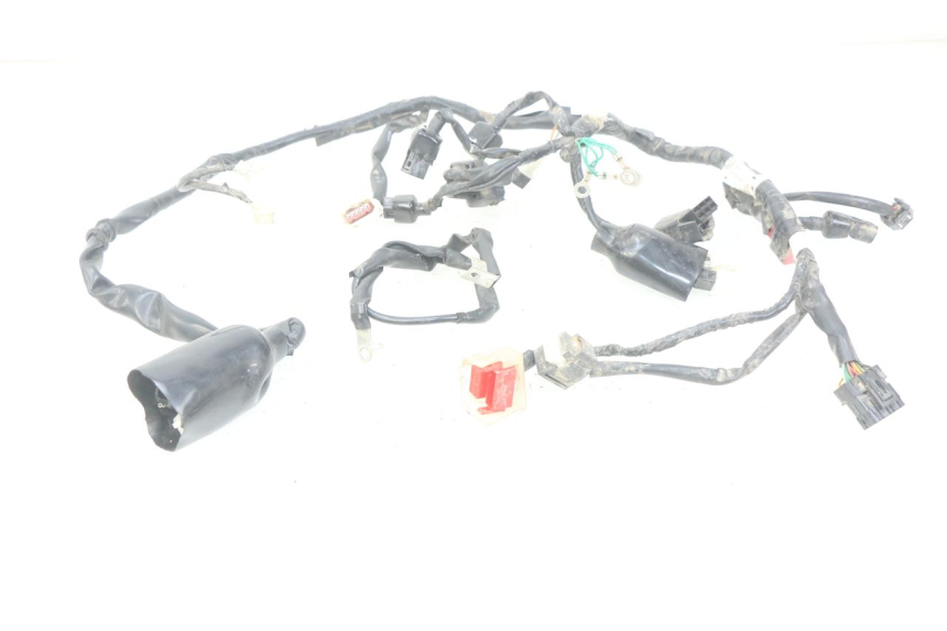 photo de FAISCEAU HONDA CRF CR-F 125 (2022 - 2023)