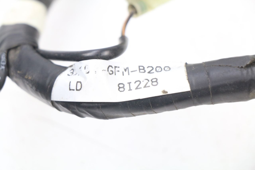 photo de FAISCEAU HONDA NHX LEAD 110 (2008 - 2010)