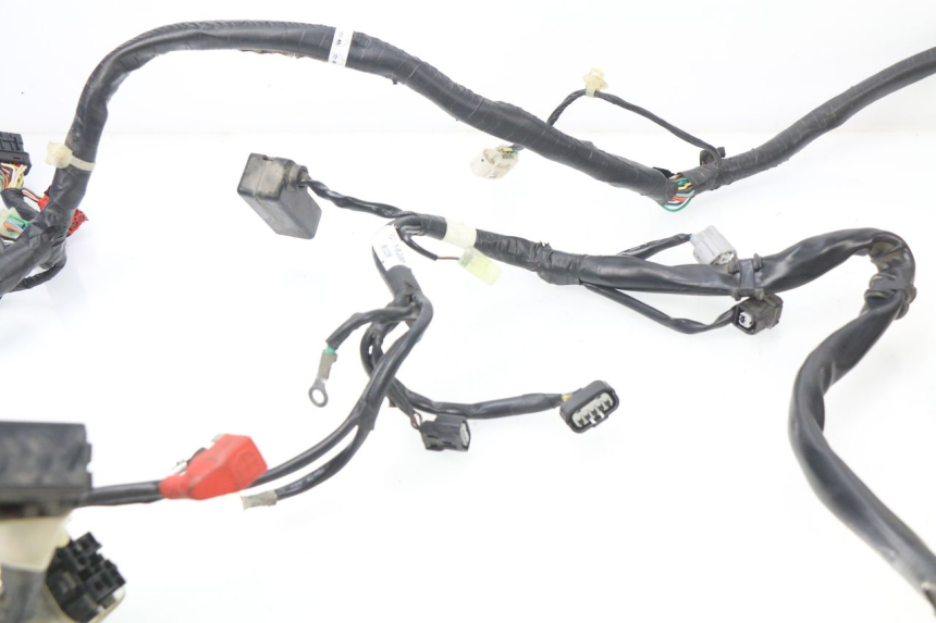 photo de FAISCEAU HONDA NHX LEAD 110 (2008 - 2010)