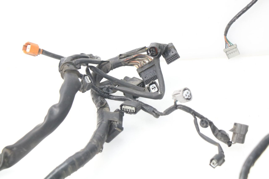 photo de FAISCEAU HONDA NSS EX FORZA 250 (2008 - 2009)