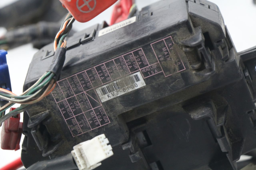 photo de FAISCEAU HONDA NSS EX FORZA 250 (2008 - 2009)