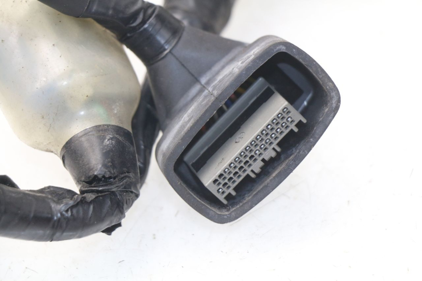 photo de FAISCEAU HONDA NSS EX FORZA 250 (2008 - 2009)