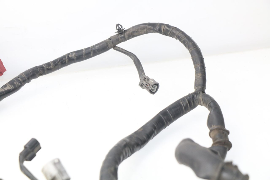 photo de FAISCEAU HONDA NSS EX FORZA 250 (2008 - 2009)