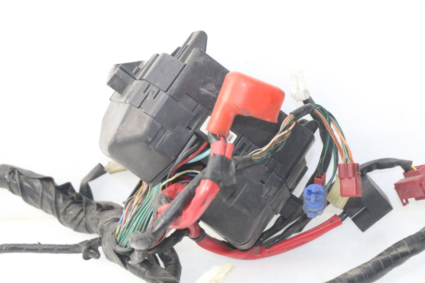 photo de FAISCEAU HONDA NSS EX FORZA 250 (2008 - 2009)