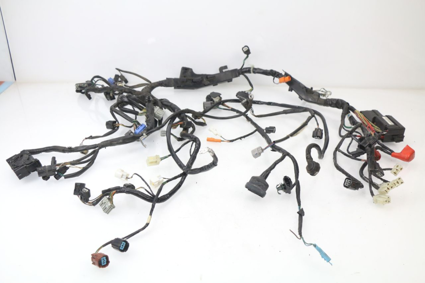 photo de FAISCEAU HONDA VFR F 1200 (2010 - 2015)