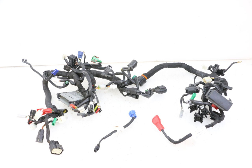 photo de FAISCEAU HUSQVARNA SVARTPILEN 401 (2018 - 2023)