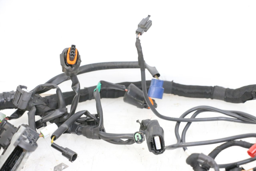 photo de FAISCEAU HUSQVARNA SVARTPILEN 401 (2018 - 2023)