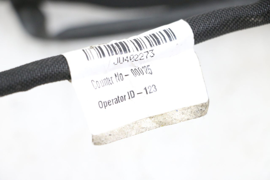 photo de FAISCEAU HUSQVARNA SVARTPILEN 401 (2018 - 2023)