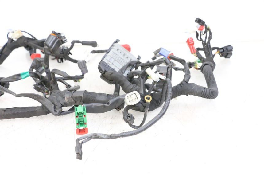photo de FAISCEAU HUSQVARNA SVARTPILEN 401 (2018 - 2023)