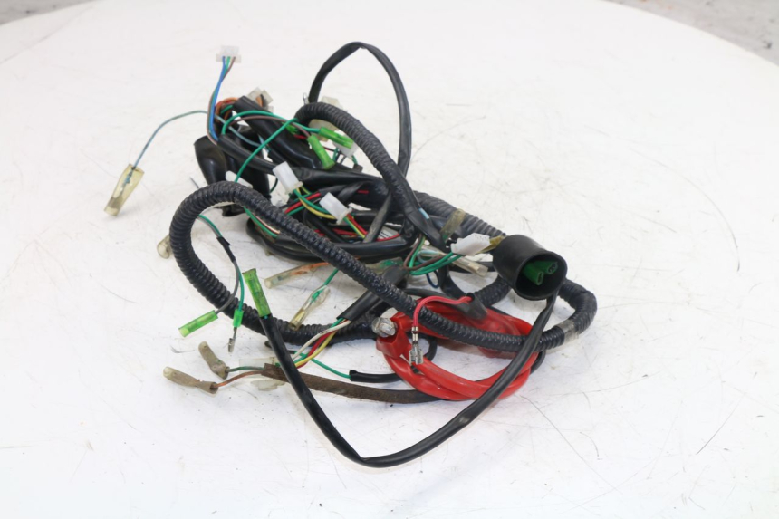photo de FAISCEAU JM MOTORS OLDIES 4T 50 (2010 - 2020)