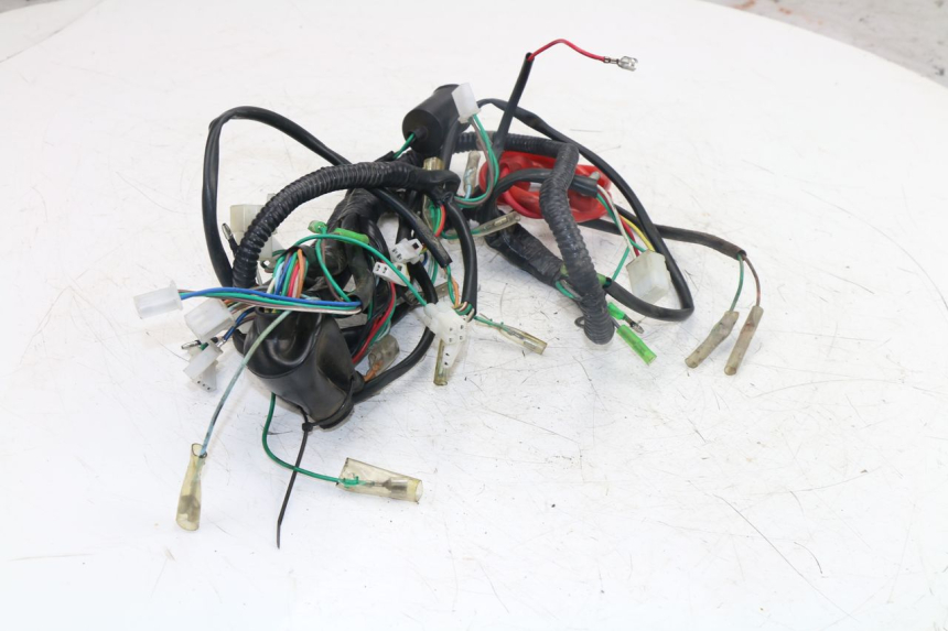 photo de FAISCEAU JM MOTORS OLDIES 4T 50 (2010 - 2020)