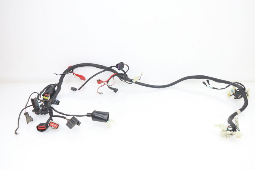 photo de FAISCEAU JM MOTORS VIPER 4T 50 (2015 - 2022)