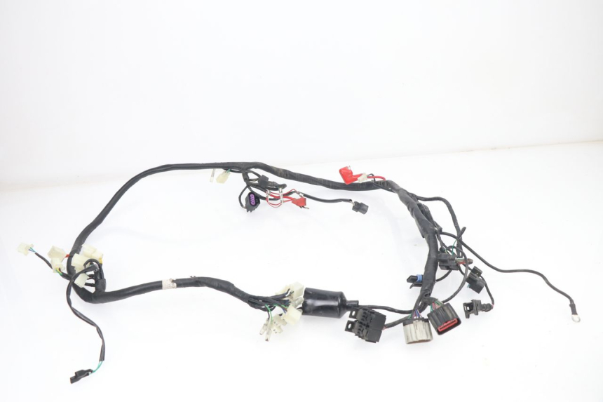 photo de FAISCEAU JM MOTORS VIPER 4T 50 (2015 - 2022)