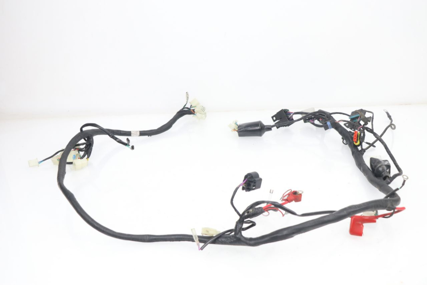 photo de FAISCEAU JM MOTORS VIPER 4T 50 (2015 - 2022)