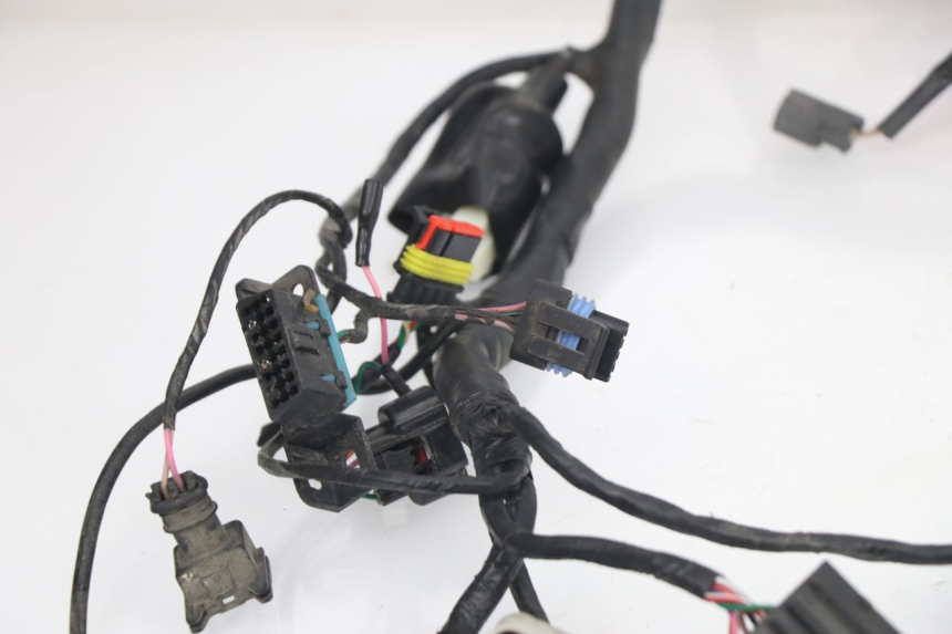 photo de FAISCEAU JM MOTORS VIPER 4T 50 (2015 - 2022)