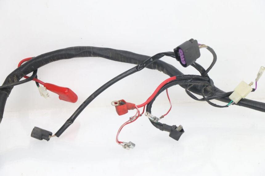 photo de FAISCEAU JM MOTORS VIPER 4T 50 (2015 - 2022)