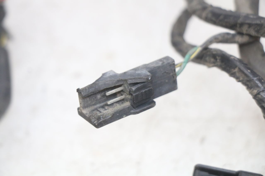 photo de FAISCEAU KAWASAKI Z 750 (2007 - 2013)