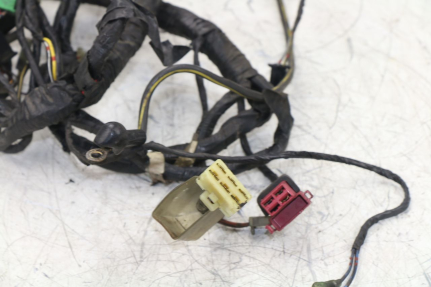 photo de FAISCEAU KAWASAKI ZZR 600 (1995 - 2004)