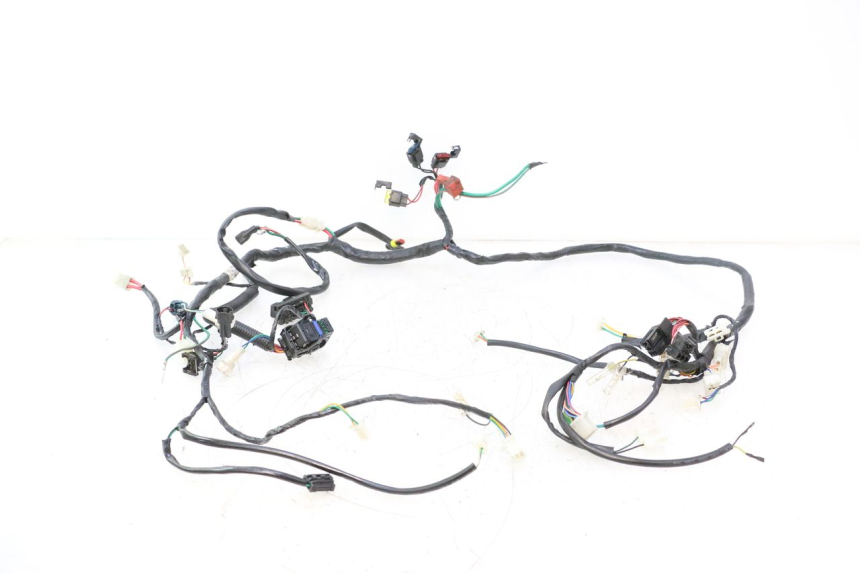 photo de FAISCEAU PEUGEOT KISBEE 2T 50 (2018 - 2022) - Points de fixation