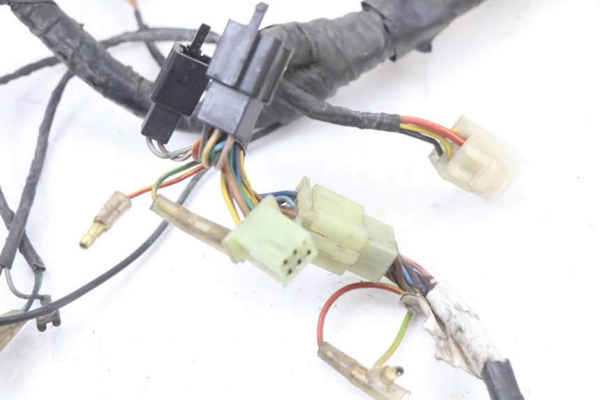 photo de FAISCEAU RENAULT KOURANOS 125 (2001 - 2004) - Autre angle de vue