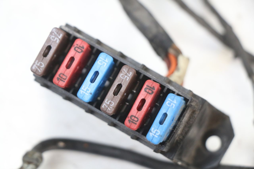 photo de FAISCEAU RENAULT KOURANOS 125 (2001 - 2004) - Vue d’ensemble