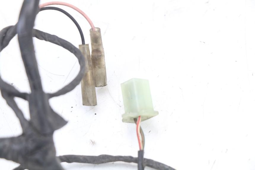 photo de FAISCEAU RENAULT KOURANOS 125 (2001 - 2004) - Points de fixation