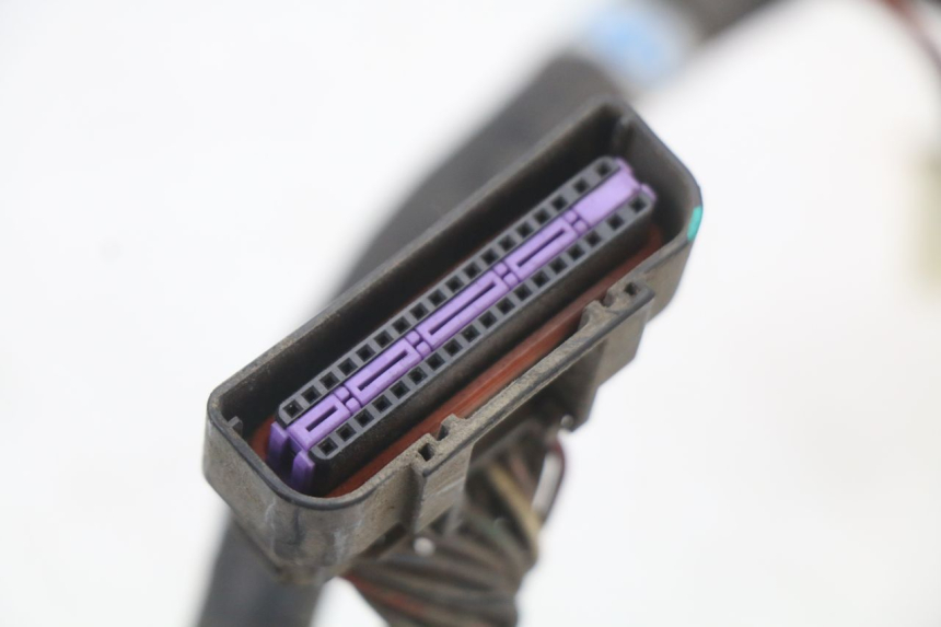 photo de Wiring harness KYMCO XCITING 250 (2006 - 2009)