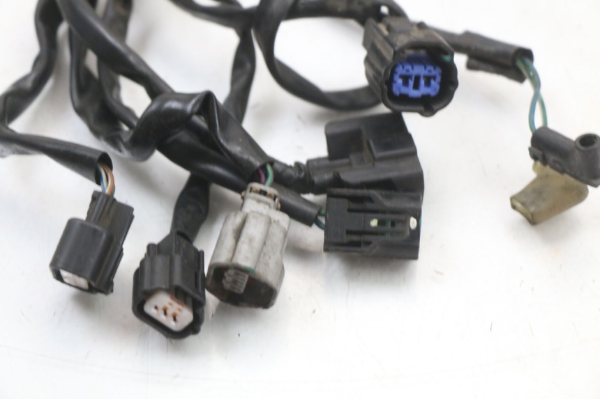 photo de Wiring harness KYMCO XCITING 250 (2006 - 2009)
