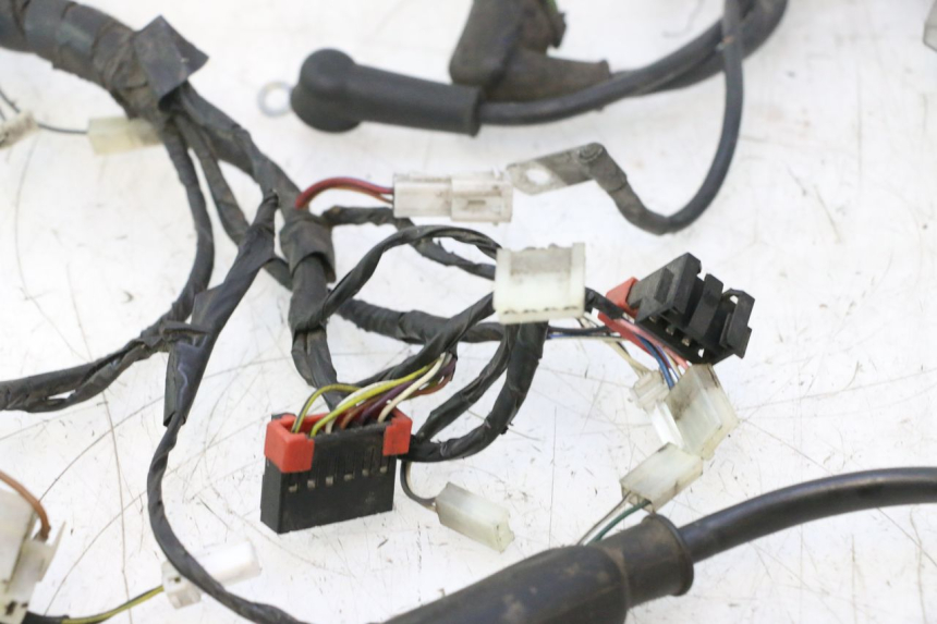 photo de FAISCEAU PIAGGIO LIBERTY 125 (1998 - 2008) - Autre angle de vue