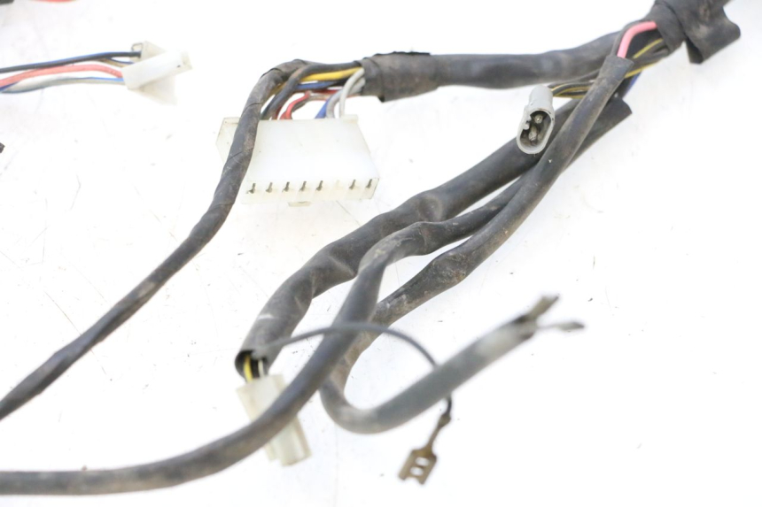 photo de FAISCEAU PIAGGIO LIBERTY 50 (1998 - 2003) - Angle alternatif