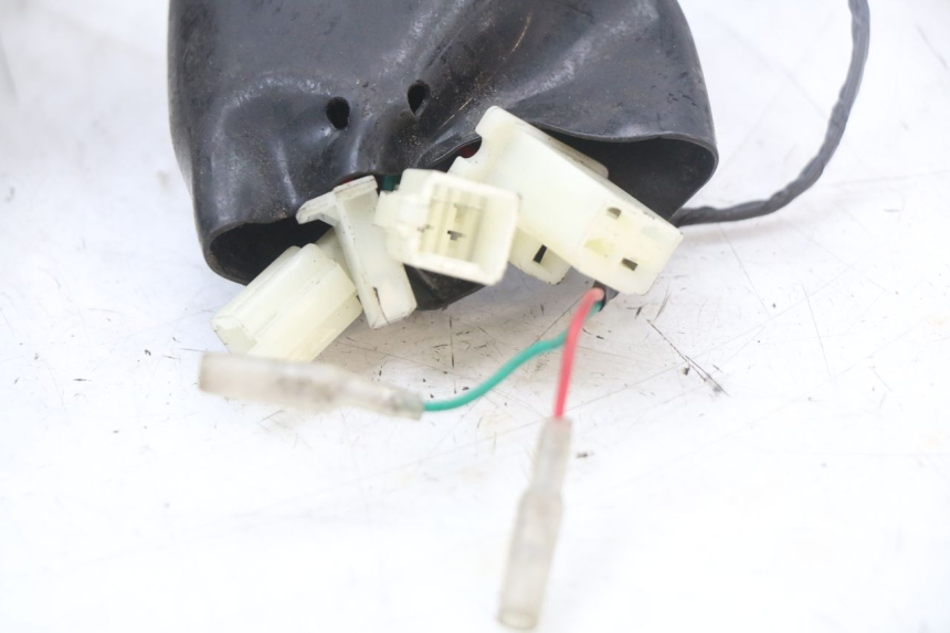 photo de FAISCEAU LONGJIA EASY MAX 125 (2020 - 2024)