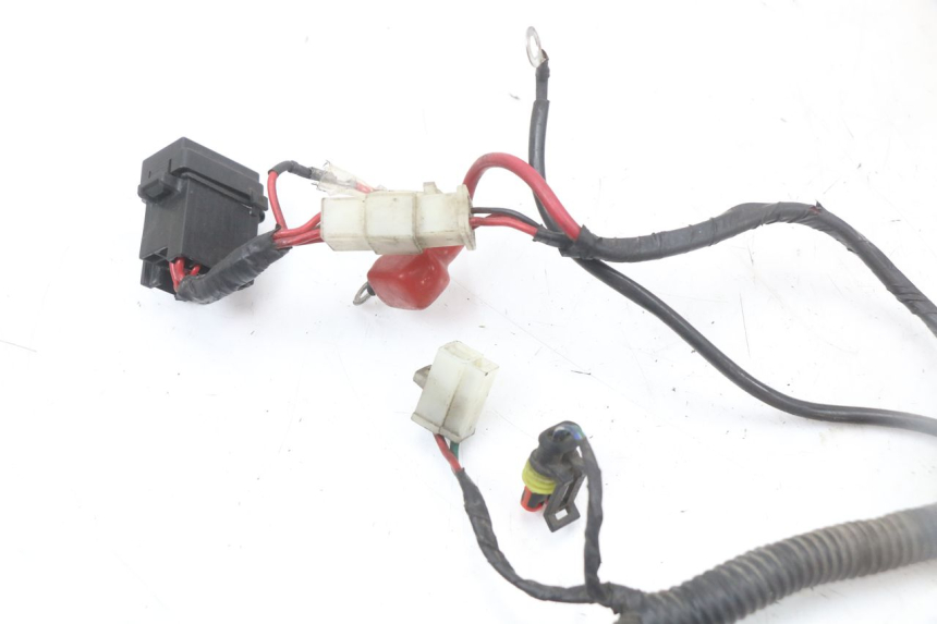 photo de FAISCEAU LONGJIA EASY MAX 125 (2020 - 2024)