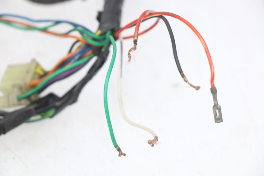 photo de FAISCEAU PEUGEOT LUDIX 50 (2005 - 2007)