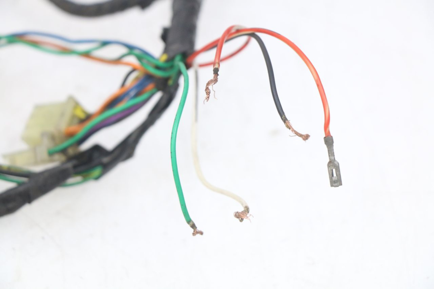 photo de FAISCEAU PEUGEOT LUDIX 50 (2005 - 2007)