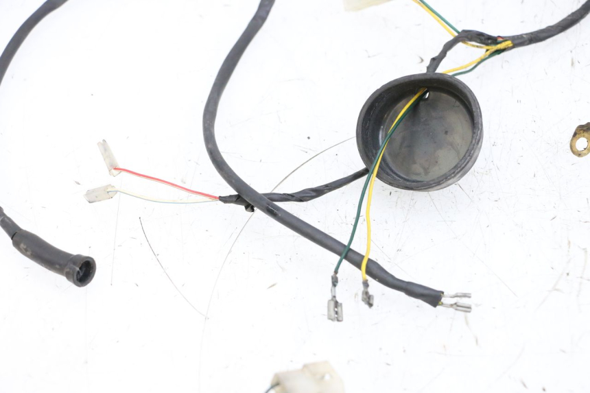 photo de FAISCEAU PEUGEOT LUDIX 50 (2005 - 2007) - Vue rapprochée