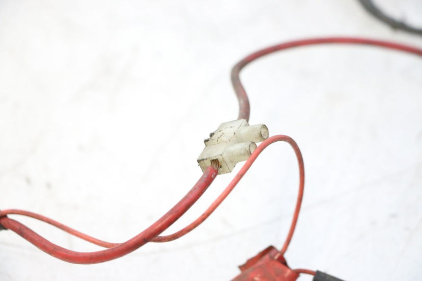 photo de FAISCEAU PEUGEOT LUDIX 50 (2005 - 2007) - Vue produit